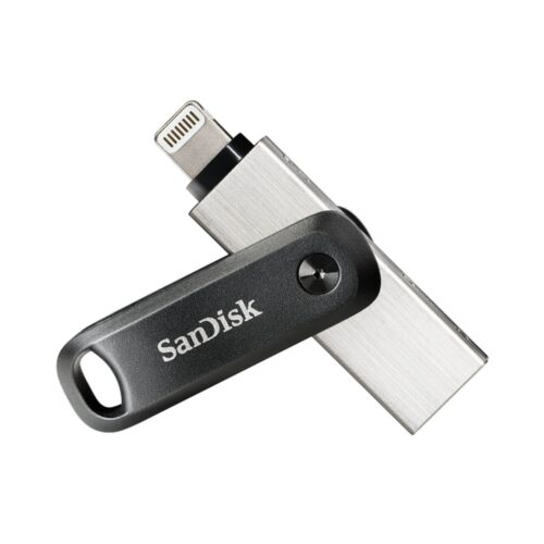 SanDisk SDIX60N-256G-GN6NE unidad flash USB 256 GB 3.2 Gen 1 (3.1 Gen 1) Gris, Plata